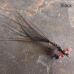 Premium Red Eye Damsels