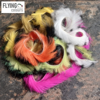 Flying Colours Zonk-It